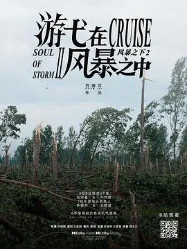 【记录片】游弋在风暴之中